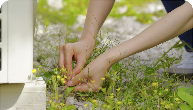 ペットのお世話